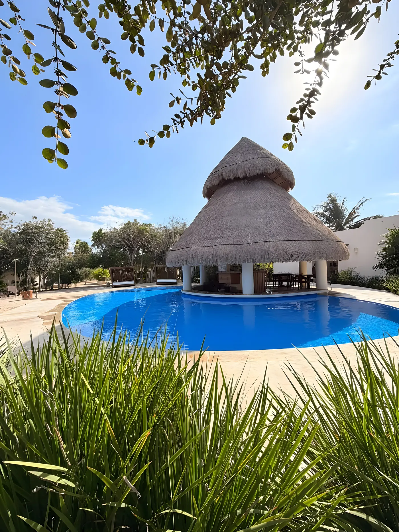 La alberca de formas orgánicas bajo la gran palapa del área común